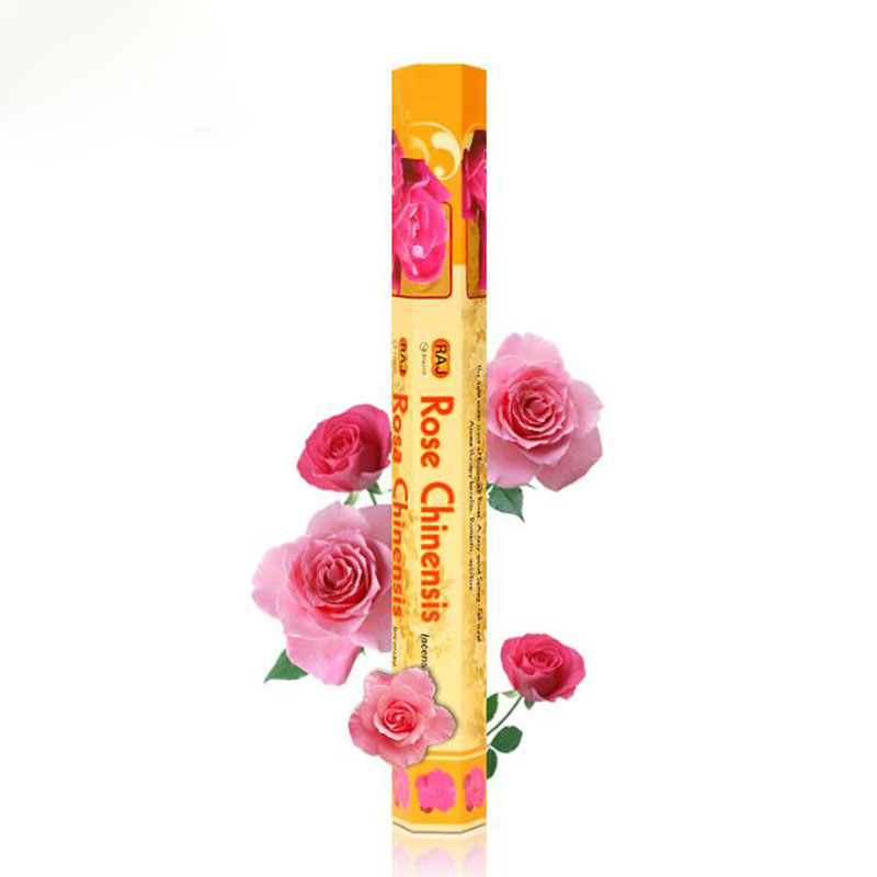 อินเดียนําเข้า Rose Chinensis  - Candle Supplies India บทวิจารณ์และราคา